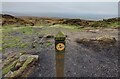 SO5986 : Marker post along the Shropshire Way by Mat Fascione