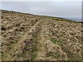 SO5986 : Track on the western slopes of Brown Clee Hill by Mat Fascione