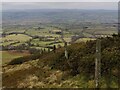 SO5986 : Old fence posts on Brown Clee Hill by Mat Fascione