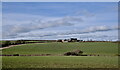 SK8619 : Landscape near Wymondham by Bob Harvey