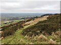 SO5986 : Brown Clee Hill by Mat Fascione