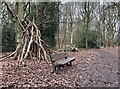 SJ7254 : Bench in Quaker's Coppice by Jonathan Hutchins