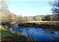 NZ0851 : Looking over the River Derwent to the woods by Robert Graham