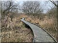 SJ9223 : Boardwalk on nature reserve by Jonathan Hutchins