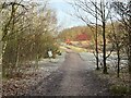 SJ7948 : Track and path junction in Bateswood Country Park by Jonathan Hutchins