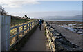 J4080 : The North Down Coastal Path at Holywood by Rossographer