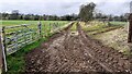 NY5062 : Farmland access track at west end of Crooked Holme by Roger Templeman