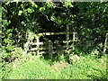 NY3541 : Stile into Dentonside Wood by Adrian Taylor