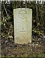 NS5455 : Commonwealth War Grave, Mearns Cemetery by Richard Sutcliffe