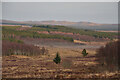 NC5518 : Feith Ra'fin Valley in Dalchork Woods, Sutherland by Andrew Tryon