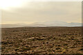 NC5028 : Flow Country Moorland near Cnoc an Alaskie, Sutherland by Andrew Tryon