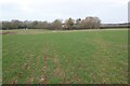 SO8550 : Footpath crossing an arable field by Philip Halling