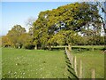 NY3541 : Public footpath near Warnell Hall by Adrian Taylor