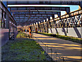 SJ8397 : Castlefield Viaduct Sky Park by David Dixon