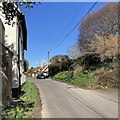 TL4446 : Thriplow: early daffodils on Church Street by John Sutton