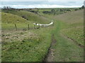 SE8362 : Descent to Vessey Pasture Dale by Christine Johnstone