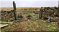 SD7096 : View of moorland through field gate at High House by Roger Templeman