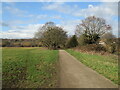 TQ1859 : Bridleway on Ashtead Common by Malc McDonald