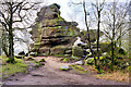 SE2064 : Rock Formation at Brimham Rocks by David Dixon