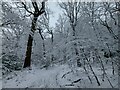 SE1419 : Upper Fell Greave Woods in the snow by yorkshirelad