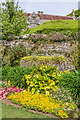 SZ4083 : Lower Garden, Mottistone Gardens by Ian Capper