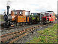 SK2406 : Statfold Barn Railway - Goose coming through by Chris Allen