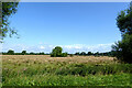 SJ9320 : Rough pasture south-east of Stafford by Roger  D Kidd