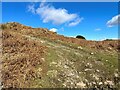 SD2789 : Path below Wool Knott by Adrian Taylor