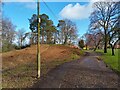 SU4564 : Round barrow cemetery by Oscar Taylor