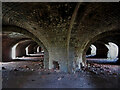 SN5005 : Inside the Hoffman kiln at Horeb Brickworks by Gareth James