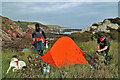 NT7871 : A spectacular camp site overlooking Cove Harbour by Walter Baxter