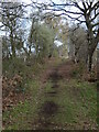 SJ4935 : Shropshire Way footpath through Whixall Moss by Andrew Shannon