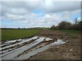 ST3660 : Field off Locking Moor Road  by S