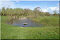 SO8134 : Remains of a moat at Pendock Moor by Philip Halling