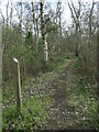 SE8537 : Waymark, permissive path, North Cliffe Wood by Christine Johnstone