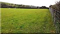 NY6064 : Corner of field on south side of road east of High Town by Roger Templeman