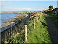 ND1069 : Path overlooking Thurso Bay by Malc McDonald