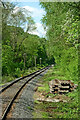 SO7483 : Severn Valley Railway in the Country Park near Highley by Roger  D Kidd