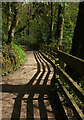 SX7962 : Cycle path by Bidwell Brook by Derek Harper