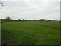 ST3859 : Field off Summer Lane  by S