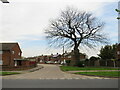 TL9723 : Bishop Road, Shrub End, Colchester by Malc McDonald