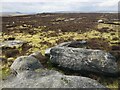 SD9721 : Old Boundary Marker on White Holme Moss by D Garside