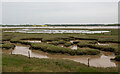 TM3238 : Looking to the River Deben over saltings, Felixstowe Ferry by Roger Jones