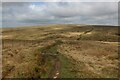 SD9912 : Pennine Way on Rape Hill by Chris Heaton