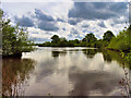 SJ6566 : Weaver Navigation, Winsford Flash by David Dixon