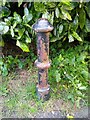 ST3662 : Old bollard off Lynmouth Close  by S