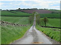 NT6645 : Tree-lined road near Rumbletonlaw by M J Richardson