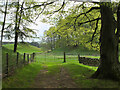 NT1638 : Gates near Harrowhope by Jim Barton