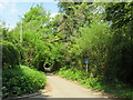 SU8028 : Minor country lane near Liss by Malc McDonald