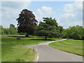 SU8130 : Hotel driveway near Liphook by Malc McDonald